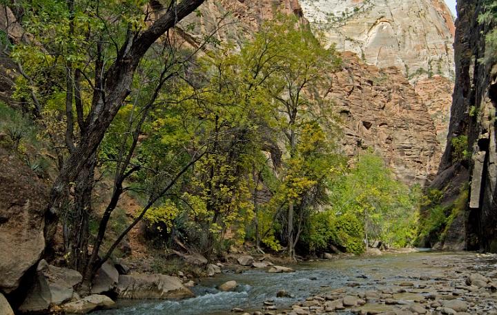 Zion - The Narrows 4982.jpg